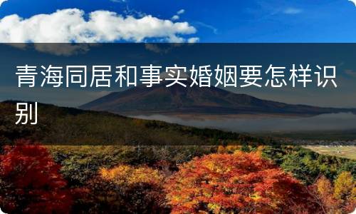 青海同居和事实婚姻要怎样识别