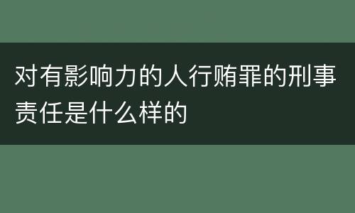 对有影响力的人行贿罪的刑事责任是什么样的