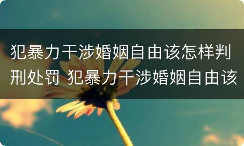 犯暴力干涉婚姻自由该怎样判刑处罚 犯暴力干涉婚姻自由该怎样判刑处罚决定书
