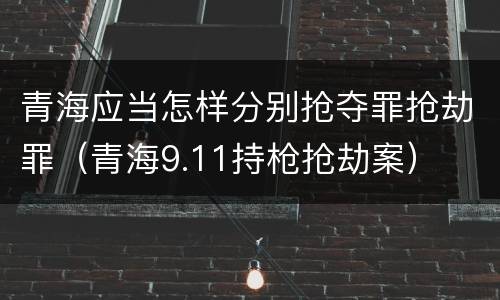 青海应当怎样分别抢夺罪抢劫罪（青海9.11持枪抢劫案）