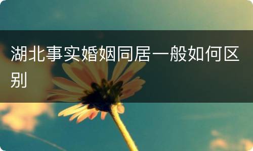 湖北事实婚姻同居一般如何区别