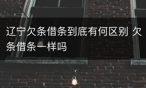 辽宁欠条借条到底有何区别 欠条借条一样吗