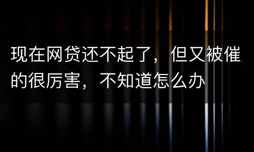现在网贷还不起了，但又被催的很厉害，不知道怎么办