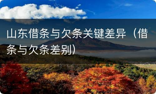 山东借条与欠条关键差异（借条与欠条差别）