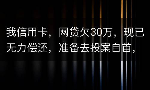 我信用卡，网贷欠30万，现已无力偿还，准备去投案自首，大概会判多少年