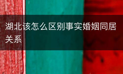湖北该怎么区别事实婚姻同居关系