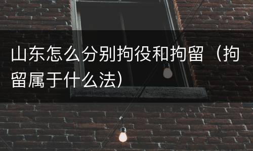 山东怎么分别拘役和拘留（拘留属于什么法）