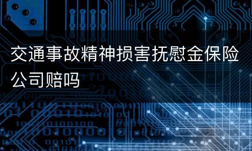 交通事故精神损害抚慰金保险公司赔吗