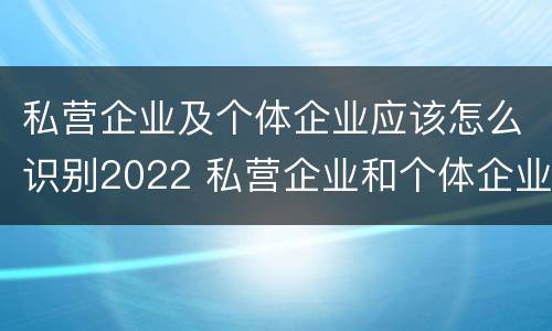 私营企业及个体企业应该怎么识别2022 私营企业和个体企业