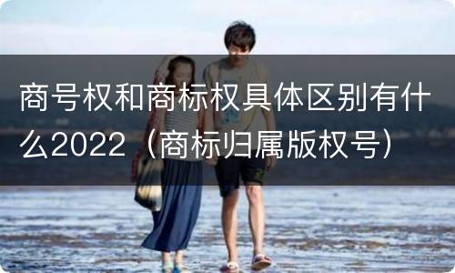 商号权和商标权具体区别有什么2022（商标归属版权号）