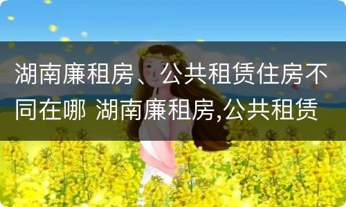湖南廉租房、公共租赁住房不同在哪 湖南廉租房,公共租赁住房不同在哪申请