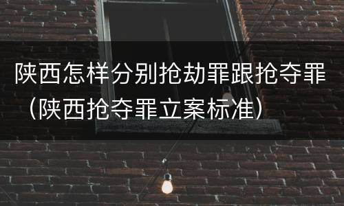 陕西怎样分别抢劫罪跟抢夺罪（陕西抢夺罪立案标准）
