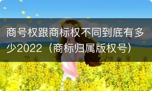 商号权跟商标权不同到底有多少2022（商标归属版权号）