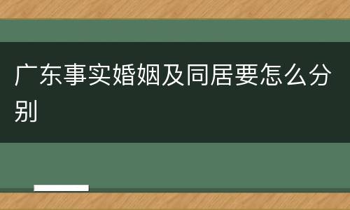广东事实婚姻及同居要怎么分别