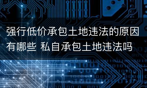 强行低价承包土地违法的原因有哪些 私自承包土地违法吗