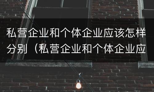 私营企业和个体企业应该怎样分别（私营企业和个体企业应该怎样分别注册）