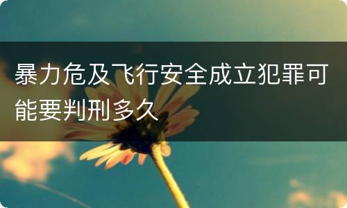 暴力危及飞行安全成立犯罪可能要判刑多久