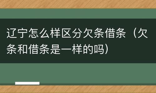 辽宁怎么样区分欠条借条（欠条和借条是一样的吗）