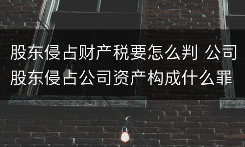 股东侵占财产税要怎么判 公司股东侵占公司资产构成什么罪名