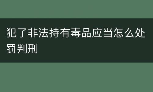 犯了非法持有毒品应当怎么处罚判刑