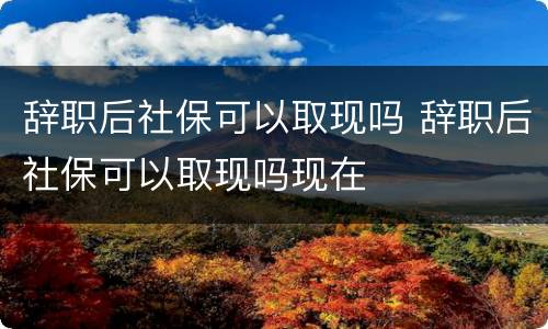 辞职后社保可以取现吗 辞职后社保可以取现吗现在