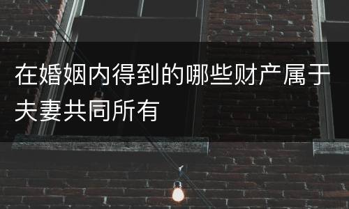 在婚姻内得到的哪些财产属于夫妻共同所有