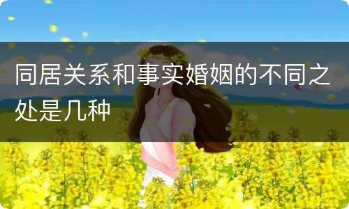 同居关系和事实婚姻的不同之处是几种