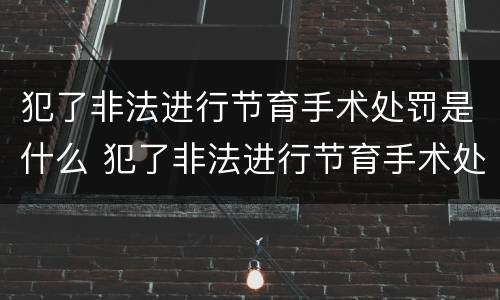 犯了非法进行节育手术处罚是什么 犯了非法进行节育手术处罚是什么意思