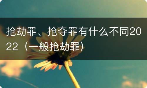 抢劫罪、抢夺罪有什么不同2022（一般抢劫罪）