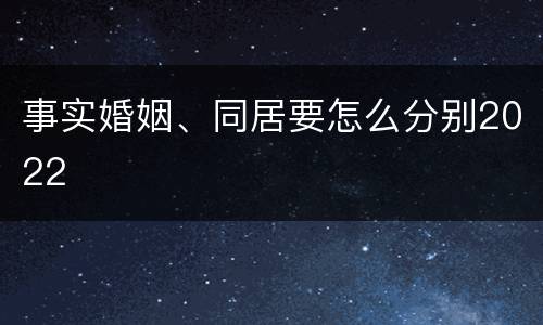 事实婚姻、同居要怎么分别2022