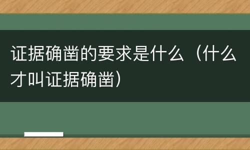证据确凿的要求是什么（什么才叫证据确凿）