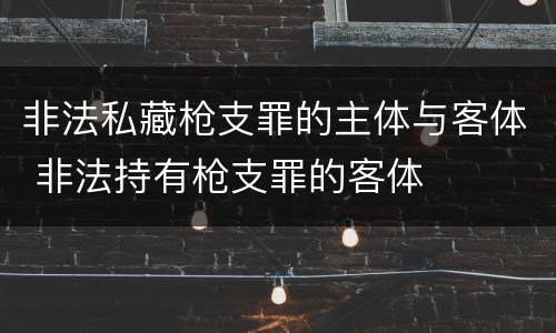非法私藏枪支罪的主体与客体 非法持有枪支罪的客体