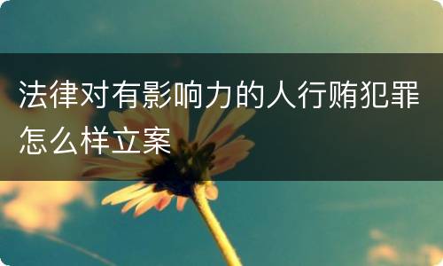 法律对有影响力的人行贿犯罪怎么样立案