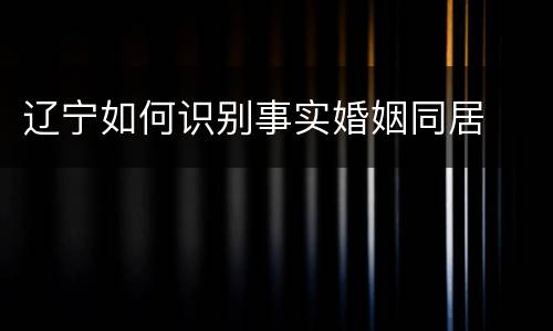 辽宁如何识别事实婚姻同居