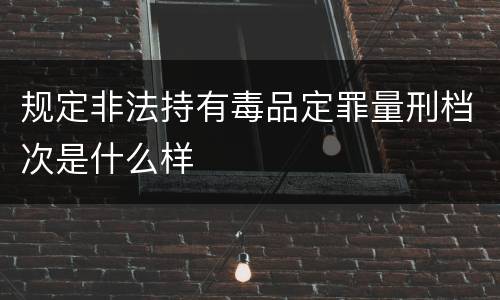 规定非法持有毒品定罪量刑档次是什么样
