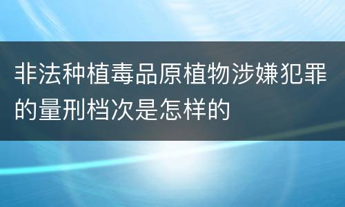 非法种植毒品原植物涉嫌犯罪的量刑档次是怎样的