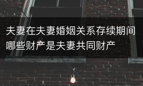 夫妻在夫妻婚姻关系存续期间哪些财产是夫妻共同财产