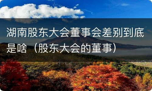 湖南股东大会董事会差别到底是啥（股东大会的董事）