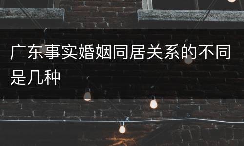 广东事实婚姻同居关系的不同是几种