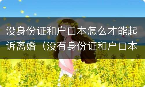 没身份证和户口本怎么才能起诉离婚（没有身份证和户口本可以起诉离婚吗）