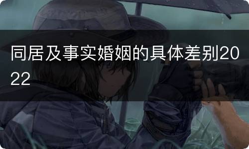 同居及事实婚姻的具体差别2022