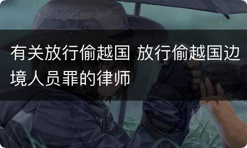 有关放行偷越国 放行偷越国边境人员罪的律师