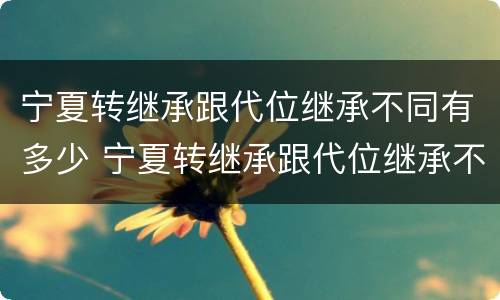 宁夏转继承跟代位继承不同有多少 宁夏转继承跟代位继承不同有多少个