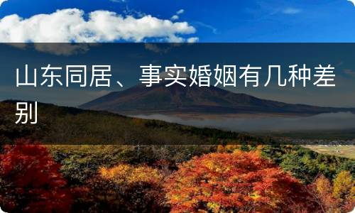 山东同居、事实婚姻有几种差别