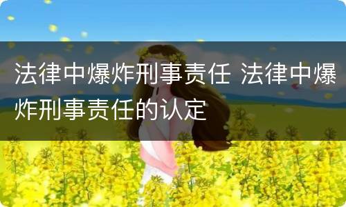 法律中爆炸刑事责任 法律中爆炸刑事责任的认定