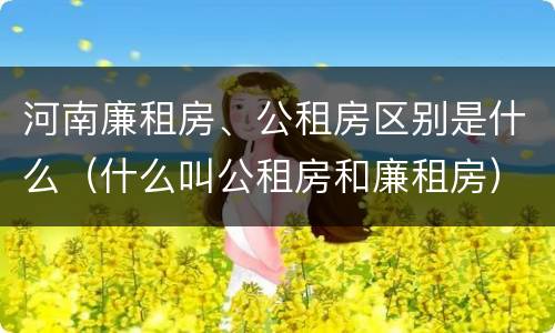 河南廉租房、公租房区别是什么（什么叫公租房和廉租房）