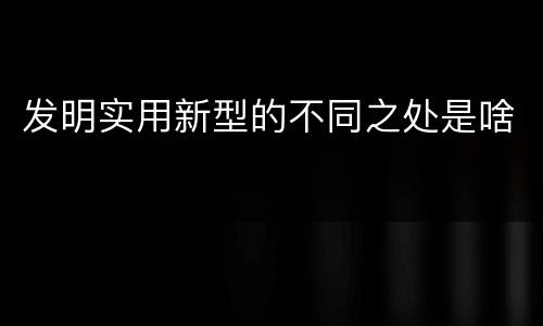 发明实用新型的不同之处是啥