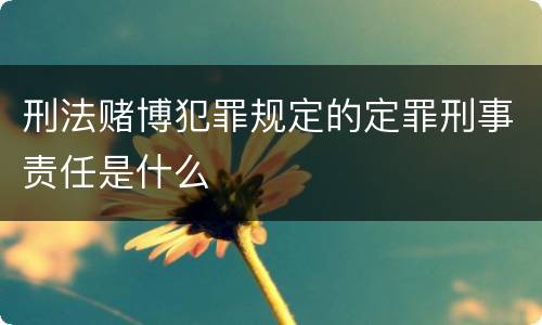 刑法赌博犯罪规定的定罪刑事责任是什么