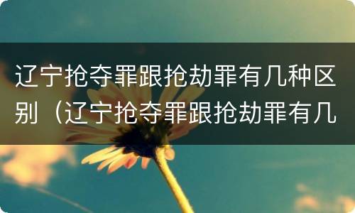 辽宁抢夺罪跟抢劫罪有几种区别（辽宁抢夺罪跟抢劫罪有几种区别呢）