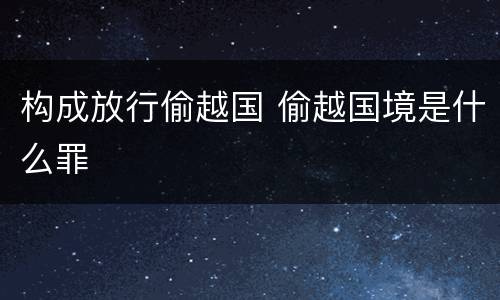 构成放行偷越国 偷越国境是什么罪